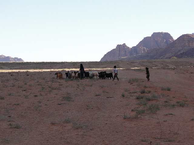 Wadi Rum (10).JPG